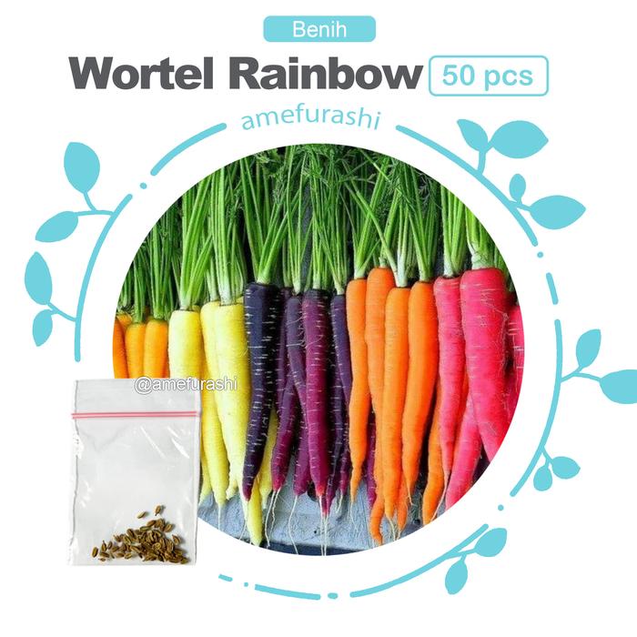 Gambar Bibit / Benih / Seeds Sayur Wortel Ungu Cosmic Purple Carrot Unik - wort.rainbow50 dari amefurashi undefined Tokopedia