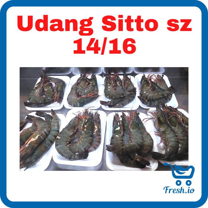 Gambar Udang Sitto Size 14/16 dari Fresh.io undefined Tokopedia