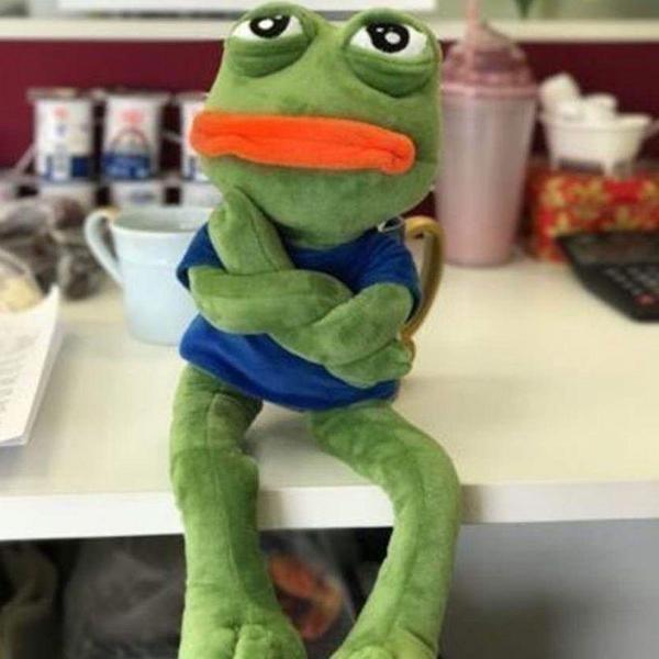 Gambar Boneka Pepe The Frog 45cm Boneka Pepe Bisa Digerakin YES - 45cm Mother dari DKB SHOP NEW undefined 4 Tokopedia