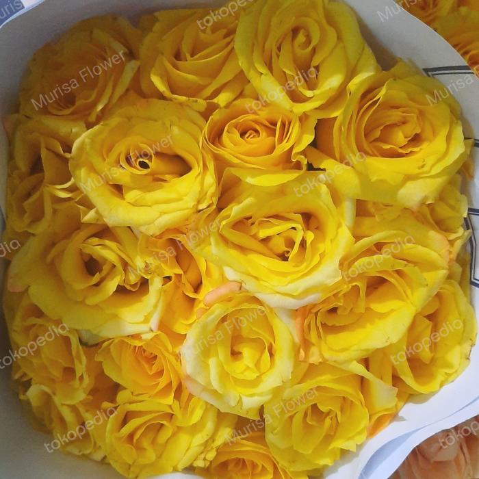 Gambar Bunga mawar Malang bunga segar per 20 tangkai - Kuning dari Murisa Flower undefined Tokopedia