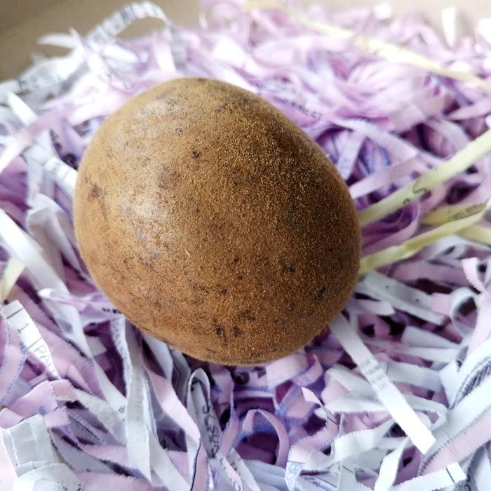 Gambar LO HAN KUO INFUSION LOHANKUO 罗汉果冲剂 LUO HAN GUO CHONG JI LUOHANGUO - 1 BUAH LOHANKUO dari PANCARAN HIDUP SEHAT undefined Tokopedia