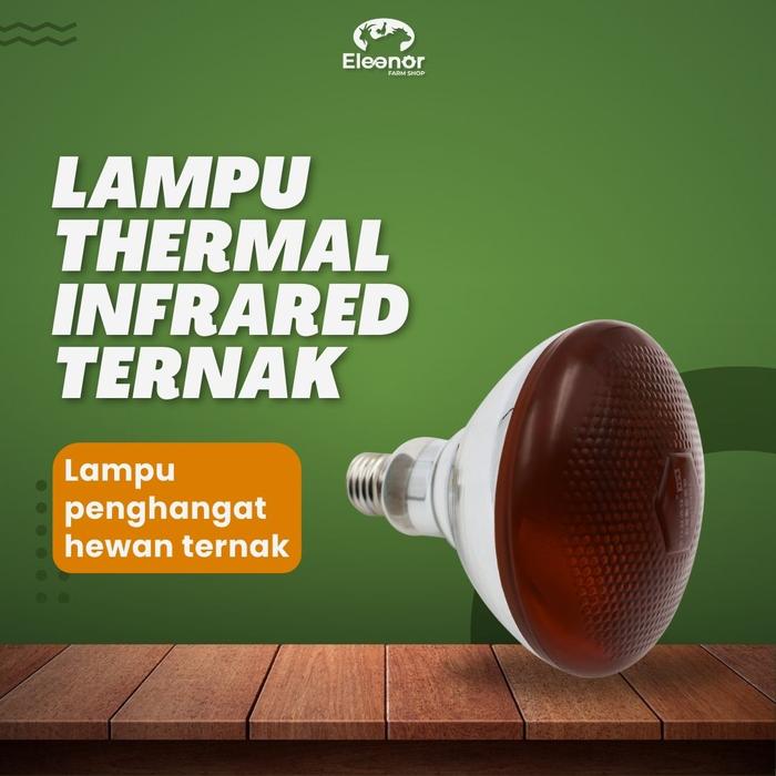 Gambar Lampu Penghangat Ternak Anakan Domba Kambing Sapi Babi - Merah, 200W dari ELEANOR FARM undefined Tokopedia