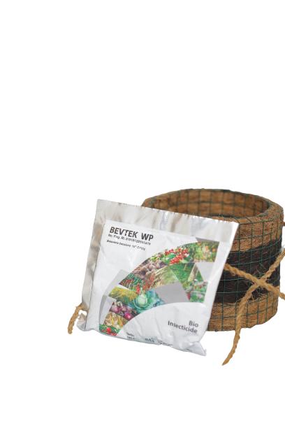 Gambar Insektisida organik bevtek dengan kandungan beauveria bassiana efektif - 100gr dari Rumah Bio Indonesia Official undefined Tokopedia