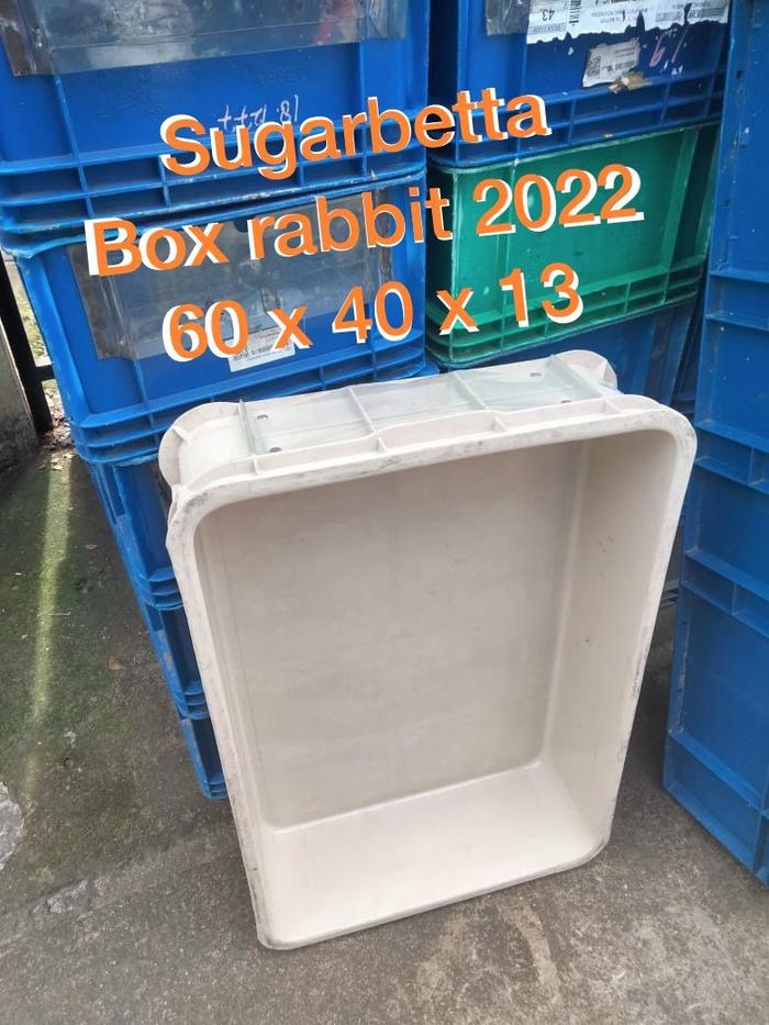 Gambar BOX CONTAINER RABBIT/ KERANJANG INDUSTRI RAPAT RABBIT 6688 - BOX 2022 dari sugarbetta undefined Tokopedia