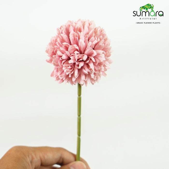 Gambar Bunga Dandelion Pompom Enceng Gondok Bunga Artificial Dekorasi Ruangan (6pcs) - Merah Muda dari Toko Rumput Sumara undefined Tokopedia