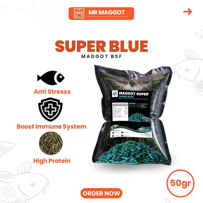 Gambar MR MAGGOT - Maggot Kering - Super Blue 50gram - Plastik 50gram dari Mr Maggot undefined Tokopedia