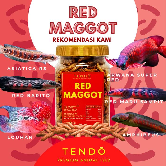 Gambar Pakan Makanan Ikan Channa Red Maru, Red Barito Maggot Kering Tendo - Red dari Tendo Animal Feed undefined Tokopedia