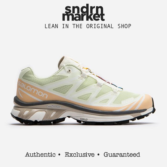 Jual Salomon XT 6 Aloe Wash Hazelnut Feather Gray BNIB AUTHENTIC - 44 -  Kota Bekasi - Sndrn.market | Tokopedia
