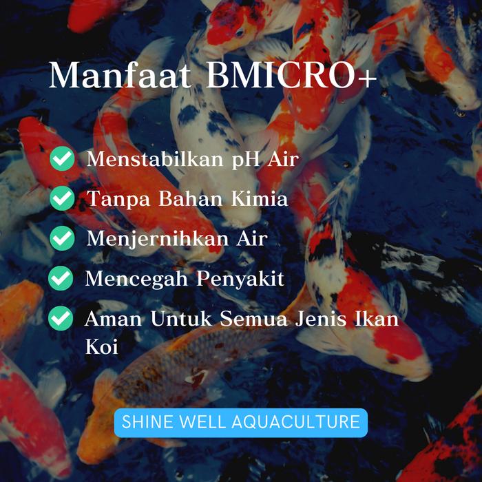 Jual B-MICRO+ Bakteri Starter Untuk Kolam Koi, Aquaculture, dan ...