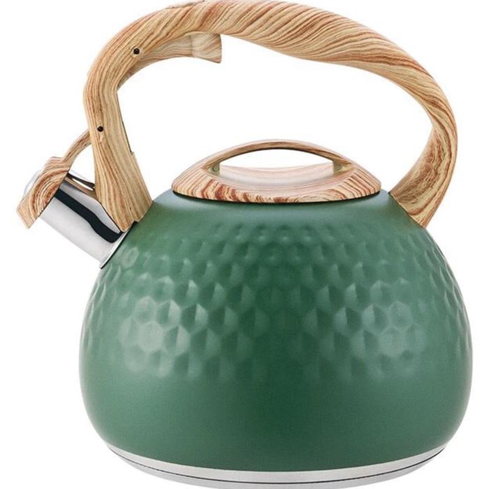 Gambar Teko air siul estetik / Teko air Stainless steel / Teko 3L praktis - Hijau dari Goalsisstuff undefined Tokopedia