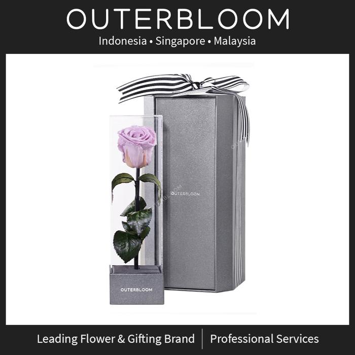 Gambar Hadiah Valentine - Outerbloom Enchanted Love Pirouette - Majestic Lilac dari Outerbloom undefined Tokopedia