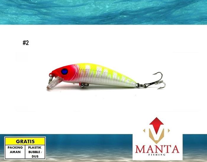 Gambar Minnow floating ultralight fishing umpan pancing 7cm 8.1g  warna #3 - #2 dari MantaFishing undefined Tokopedia