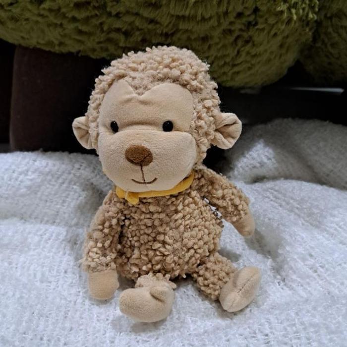 Gambar Paling dicari AX. Boneka JELLY -cat SMALL FARM MIXED - Curly Monkey dari Mom&Kidss undefined Tokopedia