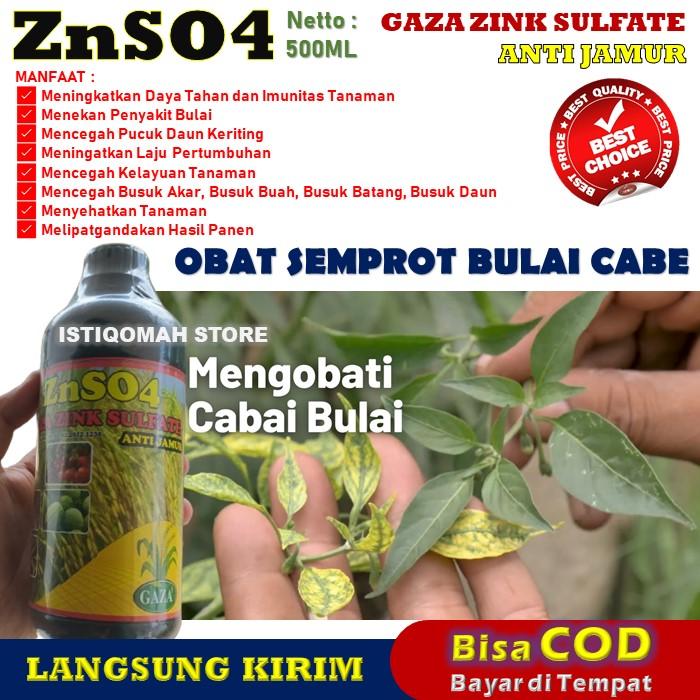 Gambar Obat Semprot Bulai Cabe dan Pelebat Buah Cabe Paling Ampuh ZNSO4 GAZA dari ALIP STORE ISTIQOMAH undefined Tokopedia