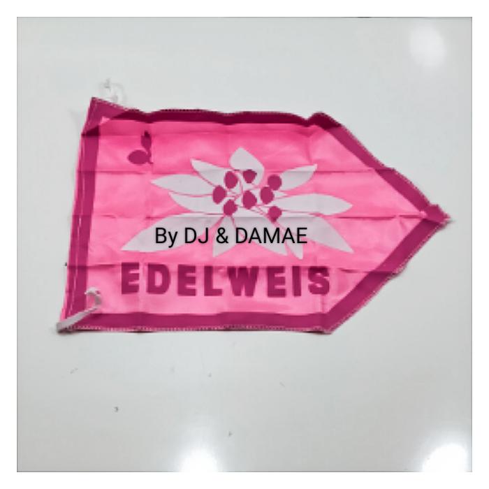 Gambar Bendera Regu Pramuka Putri - Bahan Kain Berkualitas Tinggi - B EDELWEIS dari Pandu Pramuka undefined Tokopedia