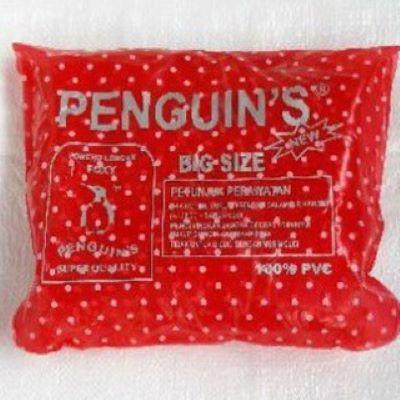 Gambar Jas hujan PONCHO LENGAN FOXY /POLKADOT PENGUINS - Merah dari Mainanimpor undefined Tokopedia