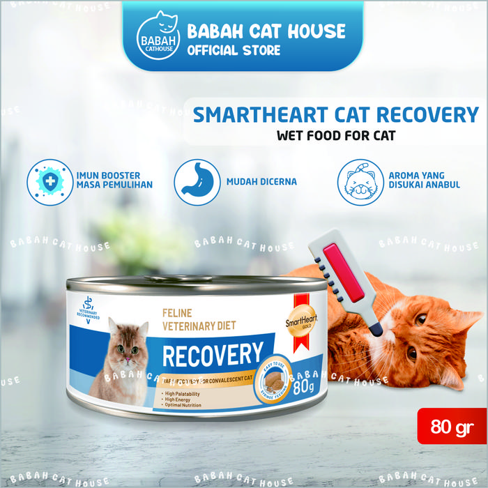 Gambar SMARTHEART CAT RECOVERY 80gr KALENG Makanan Kucing Basah Sakit Diare dari Babah Cat House undefined Tokopedia