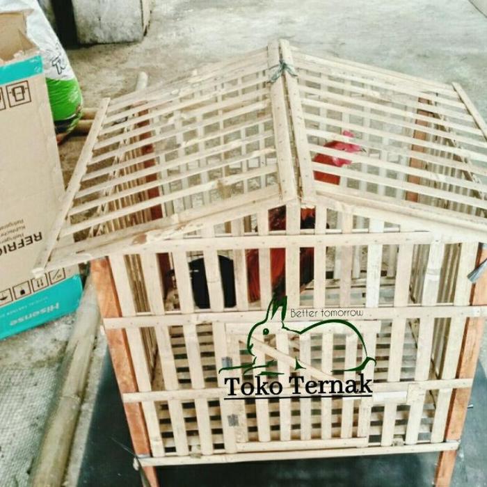 Gambar KANDANG RAKIT KANDANG AYAM JAGO dari ALAM PUTERA undefined Tokopedia