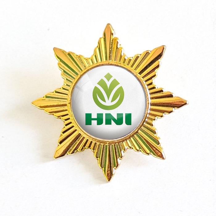 Gambar Pin HNI Logo Baru Pin Bros Wing Logo HNI - Matahari Sisi 8, Peniti dari Mulyocreative co id undefined Tokopedia