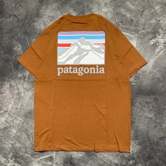 Gambar Baju Kaos Pria Patagonia Original Hitam Lengan Pendek - Cokelat, L dari KINANTAN DISTRO undefined Tokopedia
