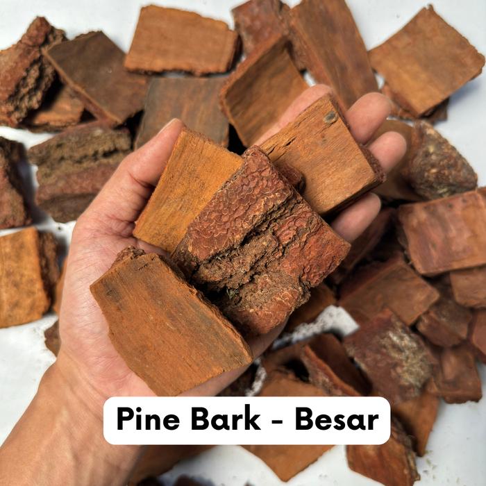 Gambar Pine Bark Kulit Pinus Cacah - Media Tanam Tanaman Hias Anggrek Aroid - Cacah Besar dari workplant official undefined Tokopedia