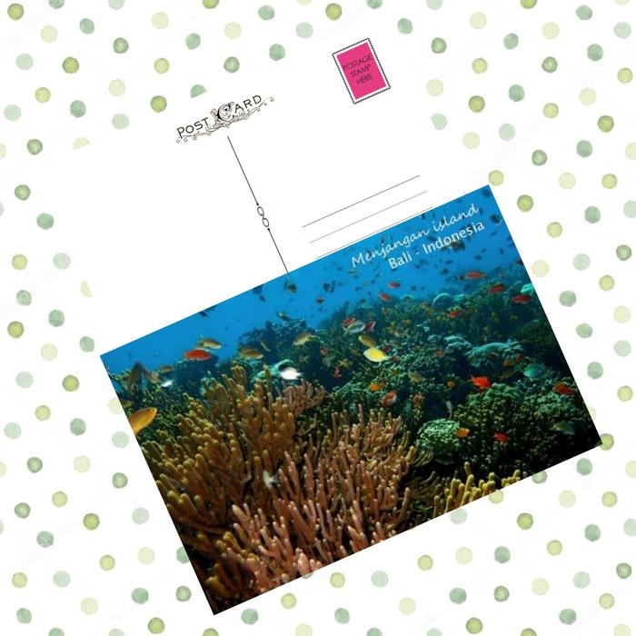 Gambar MC- Kartu pos kartupos Menjangan Island Bali Postcard - A dari freesia 99 undefined 4 Tokopedia