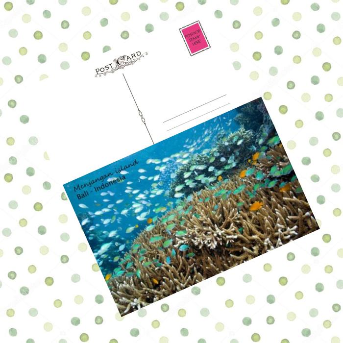 Gambar MC- Kartu pos kartupos Menjangan Island Bali Postcard - A dari freesia 99 undefined 5 Tokopedia