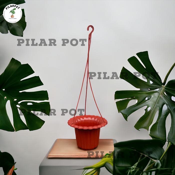 Gambar Pot Bunga Tanaman Gantung Mawar 01 Budi Jaya 20 Cm - MAWAR 01 ORIGINAL - MERAH BATA dari pilar pot undefined Tokopedia