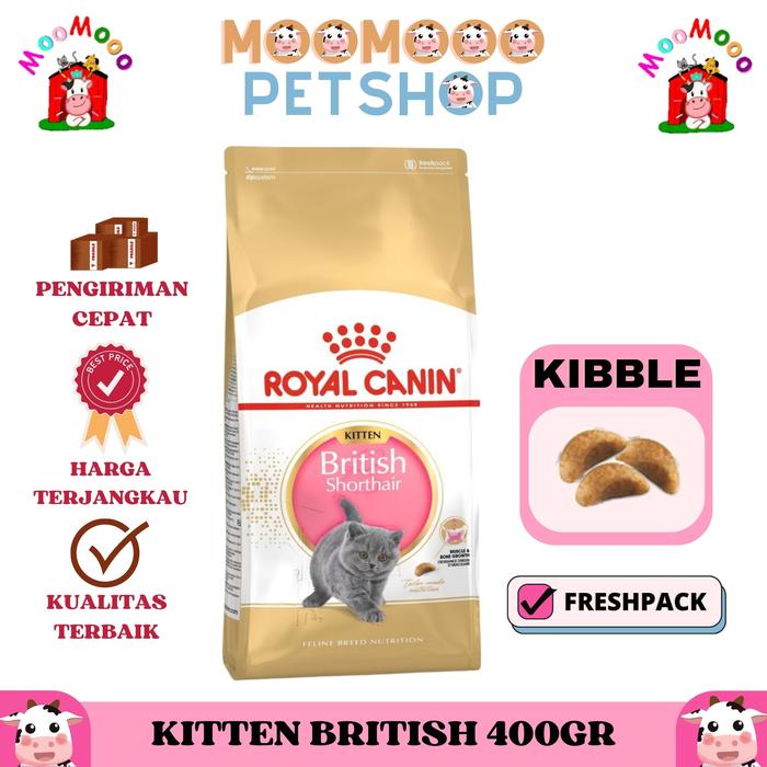 Jual Royal Canin Kitten British Shorthair 400gr Makanan Kucing