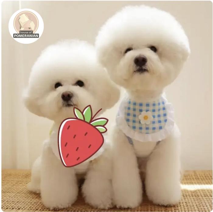 Gambar DOG BIB slabber korean handuk air liur anjing kucing pet aksesoris - Biru dari House Of Pomeranian undefined Tokopedia