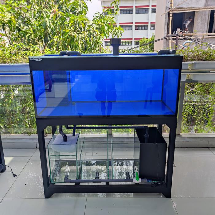 Stunning Aquarium Expert Sump Tank Recommendations For Goldfish image