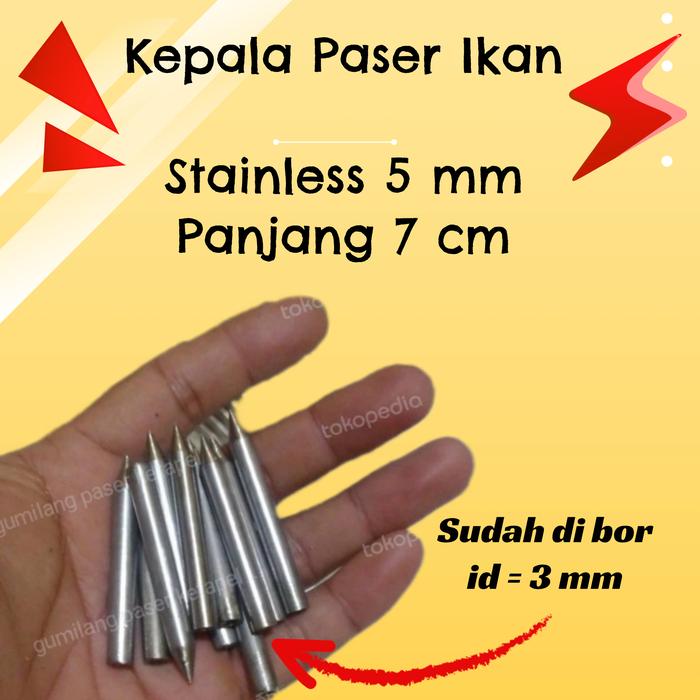 Gambar kepala paser ikan stenlis 5mili 7cm sudah di bor harga per biji dari gumilang paser ketapel ikan undefined Tokopedia