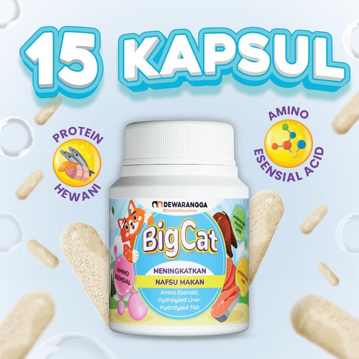 Gambar BIG Cat - Vitamin Nafsu Makan & Gemukin - Dewarangga - 15 kapsul dari Dewarangga Cattery undefined Tokopedia