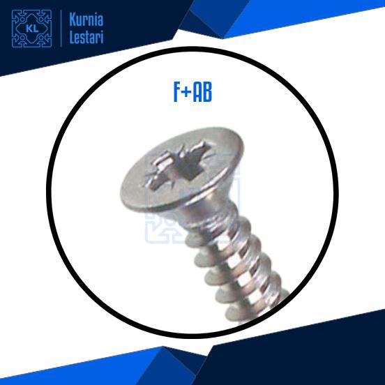 Gambar Skrup Sekrup Self Tapping Screw FAB PAB #12x3" - F+AB, 300 Pcs dari Kurnia Lestari Aluminium undefined Tokopedia