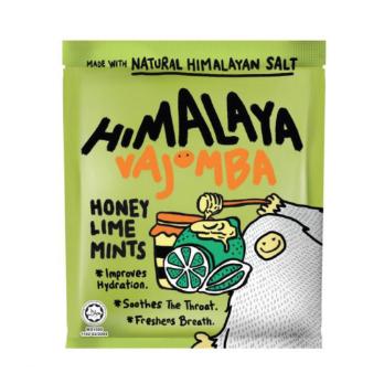 Gambar Permen Himalaya Vajomba Himalayan Salt Candy Big Foot Import 15gr - Actiwhoosh Mint dari BRANHOM undefined 4 Tokopedia