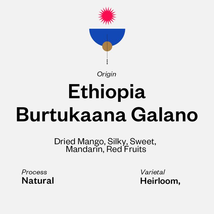 Gambar Ethiopia Burtukaana Galano - Natural dari SVURGA Coffee Roaster undefined Tokopedia