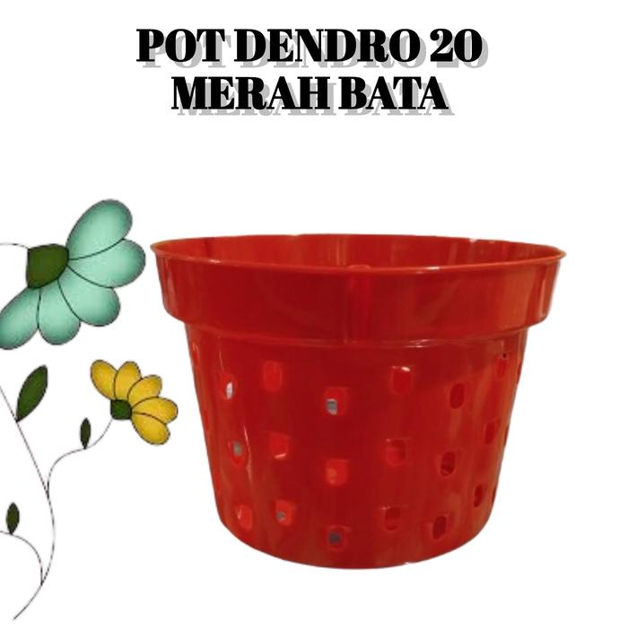 Gambar Pot Anggrek Dendrobium 20 cm Tanaman Bunga Hias Aglonema Media Tanam - Merah Bata dari BB Seed undefined Tokopedia