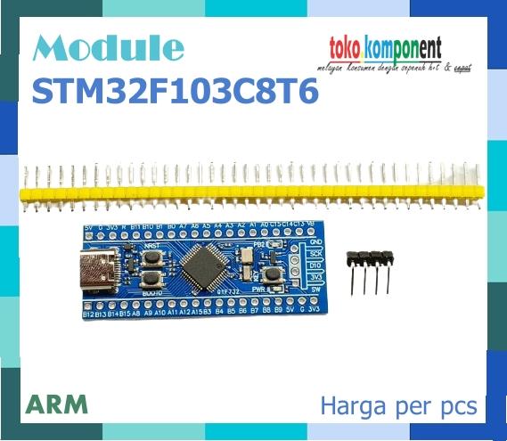 Gambar Modul STM32 Module STM32F103C8T6 ARM Minimum System Bluepill dari toko-komponen undefined Tokopedia