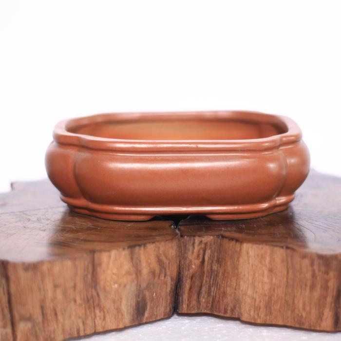 Gambar POT BONSAI KERAMIK (PK16) - A dari mtgbonsai undefined Tokopedia