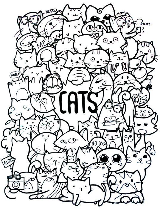 Gambar Kertas Gambar Mewarnai Besar Ukuran 1 meter Coloring Sheet Jumbo - Kucing dari PymPym undefined Tokopedia