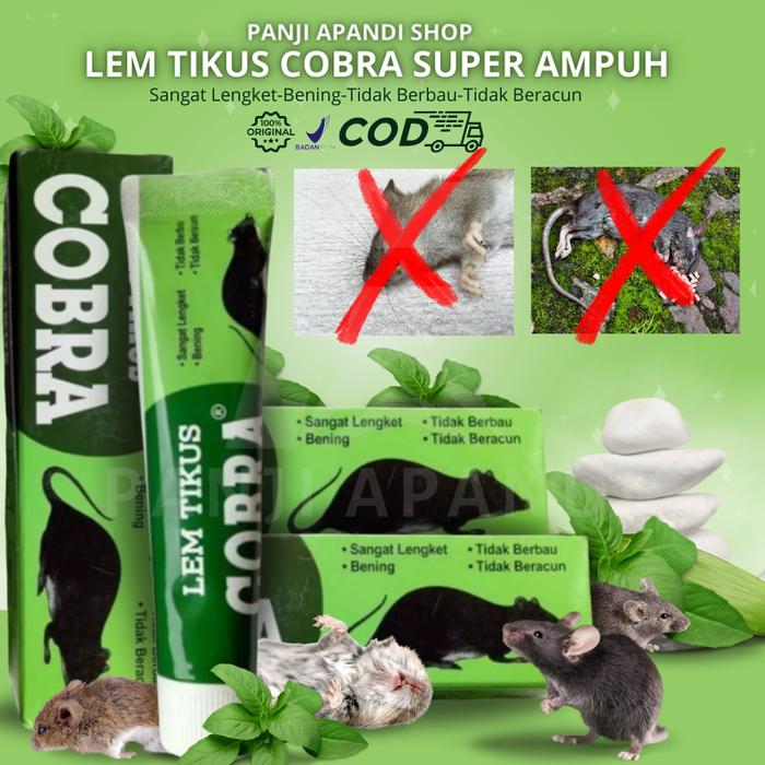 Gambar LEM TIKUS COBRA SUPER AMPUH – Perangkap Tikus Lengket, Efektif, dan Mudah Digunakan ORIGINAL dari PANJI APANDI SHOP undefined Tokopedia