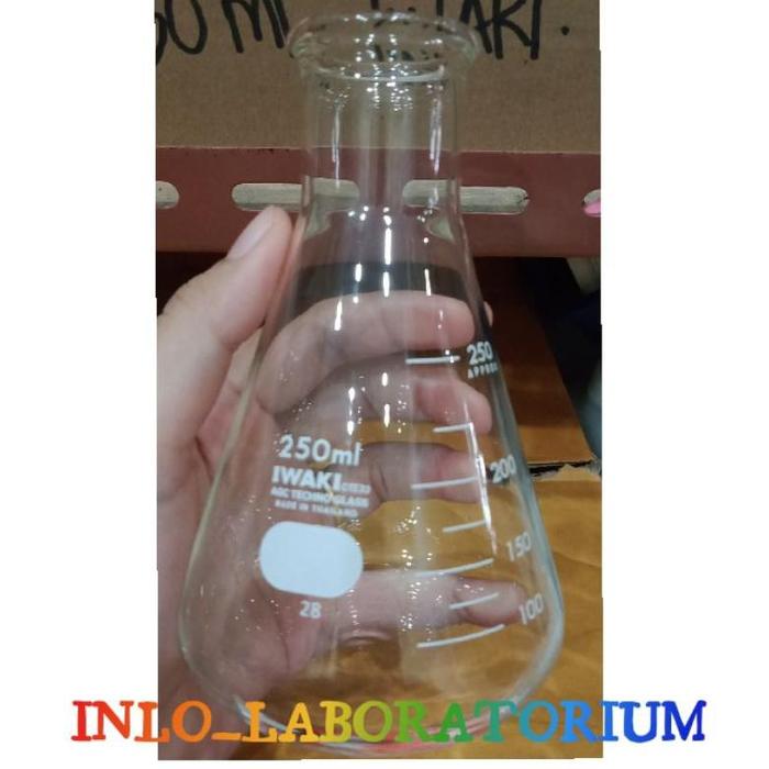 Gambar Erlenmeyer 250 ml Iwaki/Erlen meyer dari Gift of Bles undefined Tokopedia