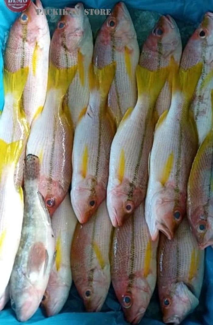 Gambar ikan kuniran ekor kuning 500 gram dari Hasil laut pasar serpong undefined 5 Tokopedia