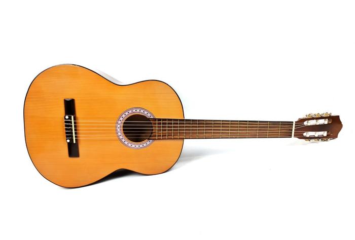 YAMAHA C-300 ヴィンテージ クラシックギター 純正ハードケース 【公式