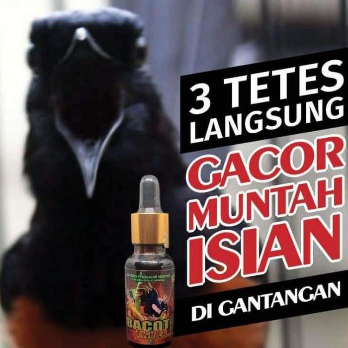 Gambar BACOT FIGHTER VITAMIN BURUNG BIAR GACOR DAN FIGHTER LOMBA UNTUK MURAI dari Ooneand undefined Tokopedia