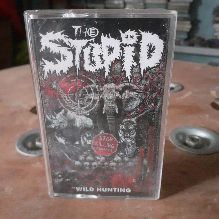 Gambar Kaset THE STUPID (wild hunting) dari debar jiwa kaset undefined Tokopedia