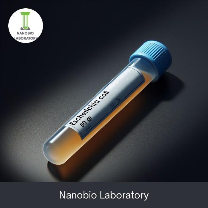 Gambar Bakteri E coli (Bahan Penelitian) / Escherichia coli / E. coli - Gel Tube 50gr dari Microbiolab ID undefined Tokopedia