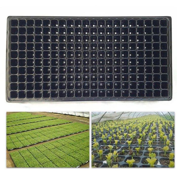 Gambar Tebal 0,7mm Tray Semai / Pot Tray 200 Lubang 2,5cm x 2,5cm dari Hydrozone undefined Tokopedia