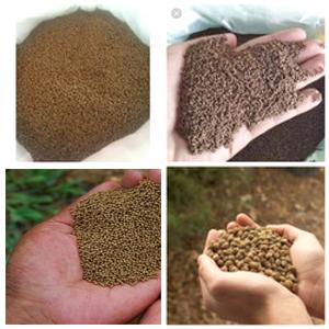 Gambar Pakan Ikan Protein Tinggi 28% - 30% MURAH HD 1Kg 1 Kg Makanan Voer Pur Pelet Bandeng Gurame Lele Nila Patin - No.2 dari Loobby Murah undefined Tokopedia