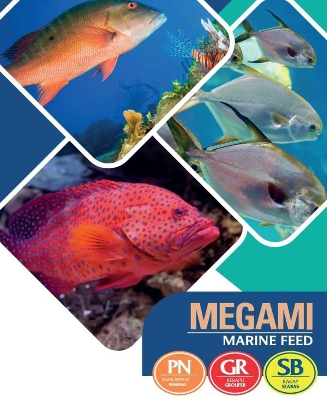 Gambar MEGAMI GR PN SB Pelet Pakan Ikan Kerapu Kakap Koi Hias Koki MS Laut - MEGAMI GR - 5, 1 Kg dari sambalmataa undefined Tokopedia